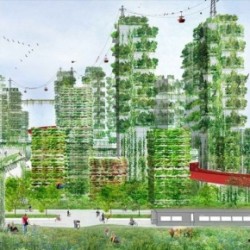 China's vertical forest