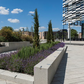 EcoPave textured paving at Manchester Met's Birley campus