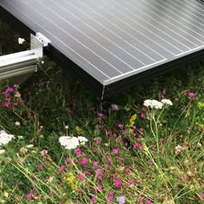 Bauder's BioSOLAR PV mounting system