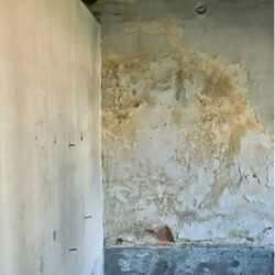 Untreated mould