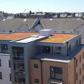Type S roofing membrane and Type SGmA single ply membrane systems