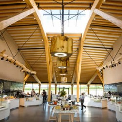 RIBA-accredited Gloucester Services