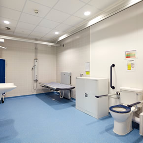 Accessible toileting at Ysgol Bro Dinfewr
