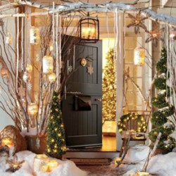 Truedor Christmas door